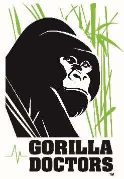 Gorilla doktors Mountai gorila